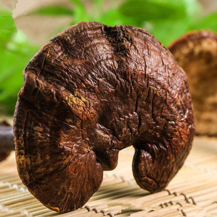 吉林长白山整支野生灵芝整枝250克产地天然林芝可磨粉灵芝切片