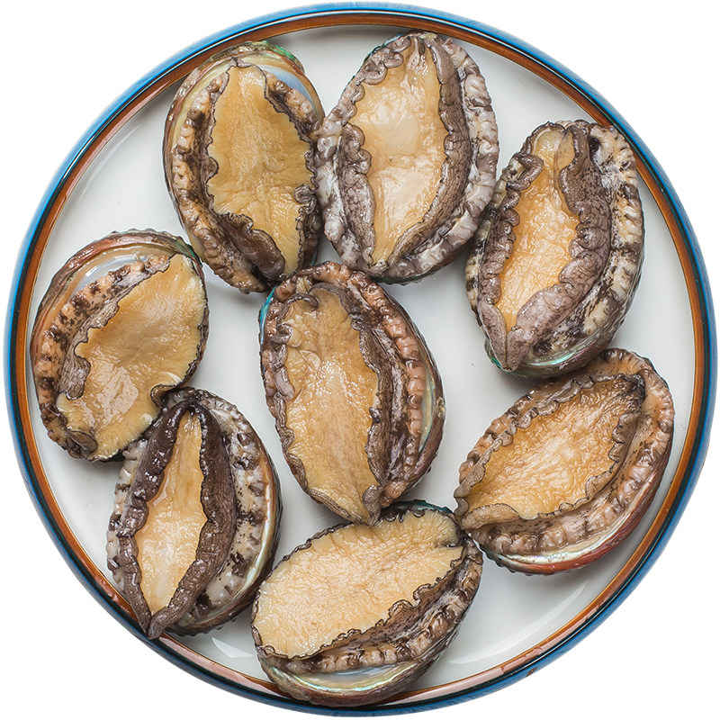 鲍鱼鲜活新鲜青岛500g15头海鲜水产贝类鲍鱼