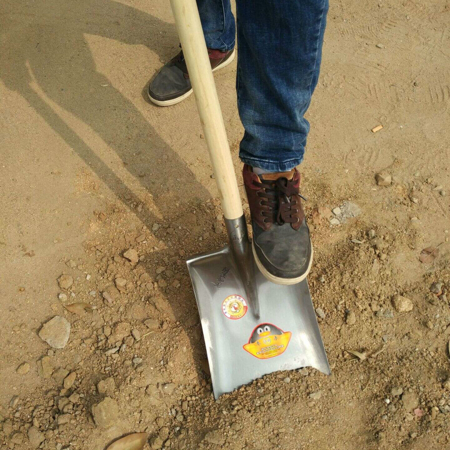 挖树铲子锰钢方头泥锨铲菜种种菜栽树园林铁锹锨