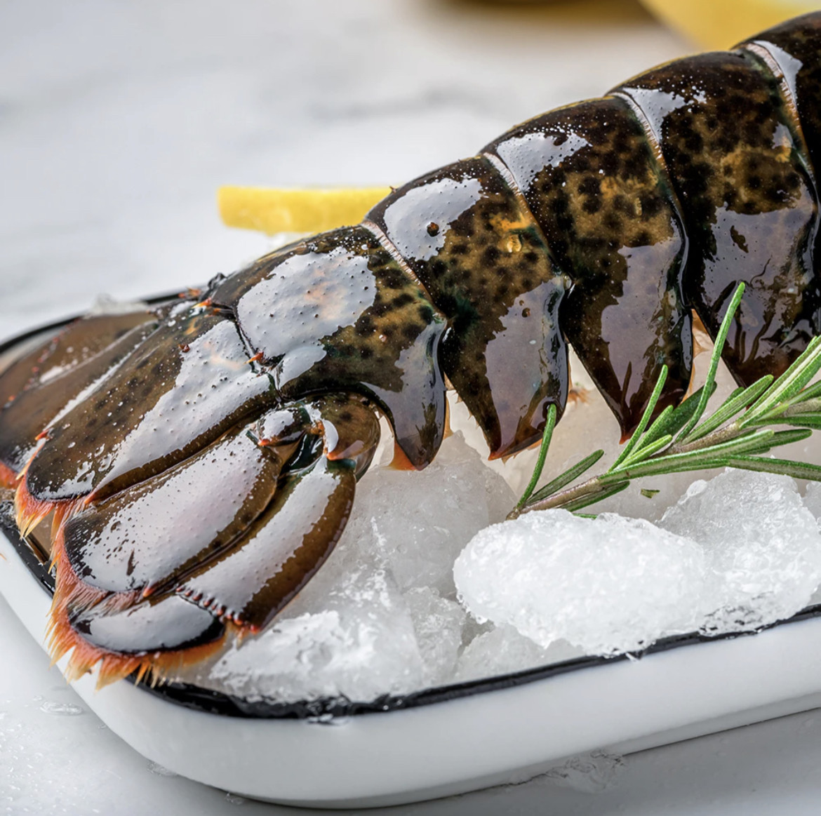 龙虾波士顿大龙澳洲澳龙鲜活特大波龙奥龙波斯顿活虾