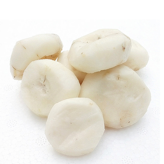 马蹄大果乐昌荸荠甜无爽脆新鲜红皮特级王北乡其它