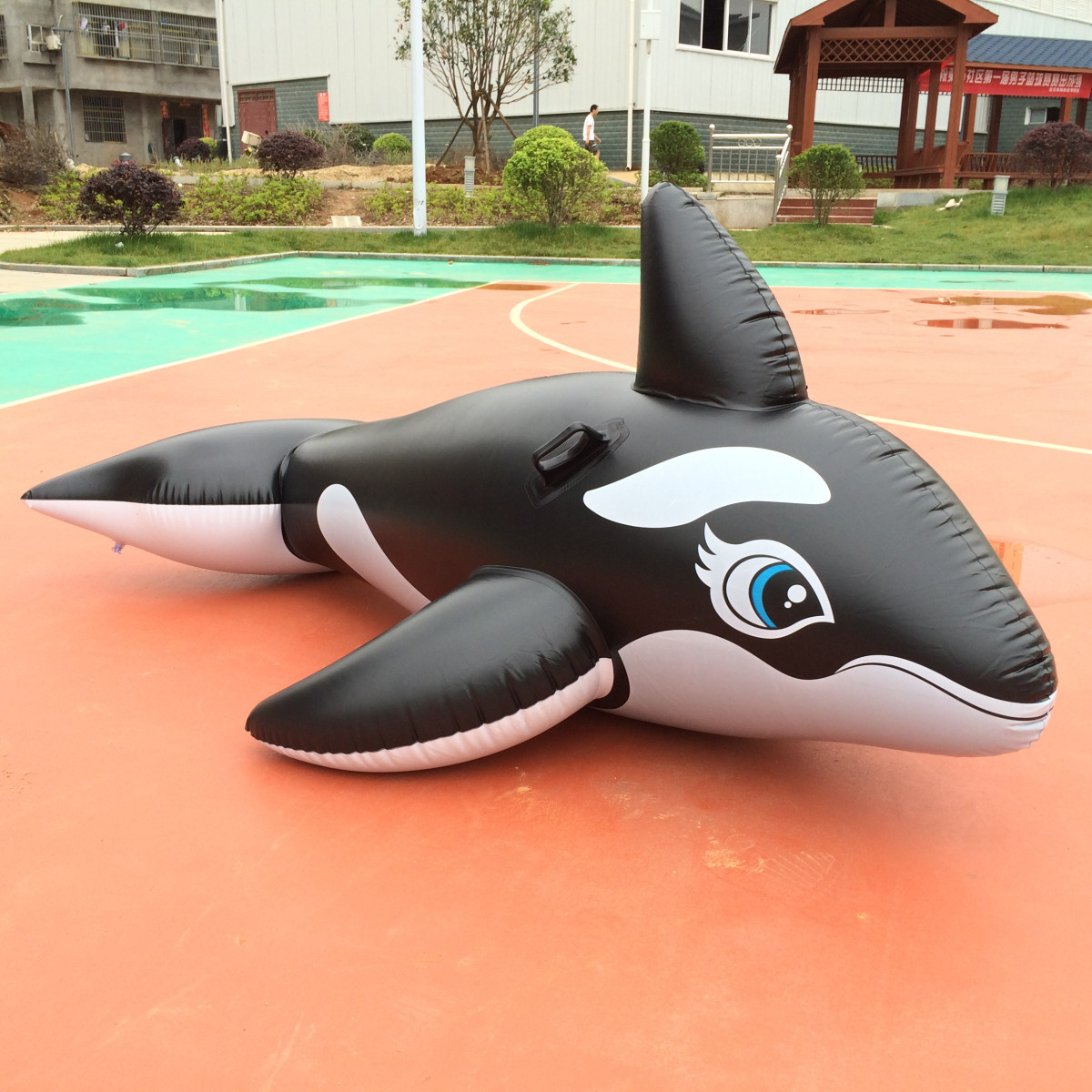intex超大黑鲸水上充气坐骑宝宝游泳动物浮圈成人儿童救生游泳圈
