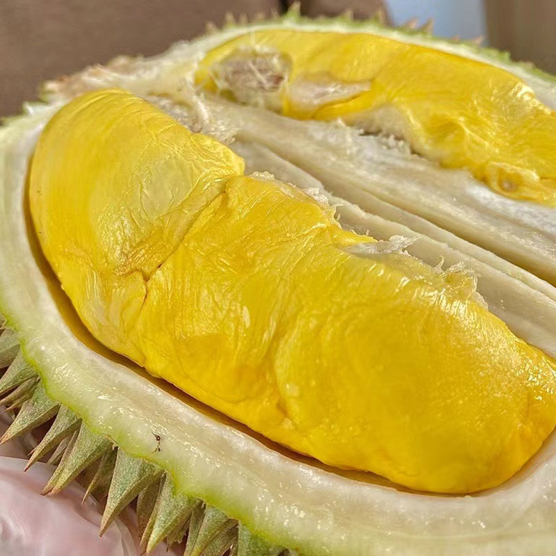 热卖马来西亚d101红肉榴莲树上新鲜整个液氮冷冻榴莲