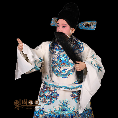 梨园戏装越剧戏曲儿童小孩舞台演出老生蟒袍男蟒白蟒民族服装