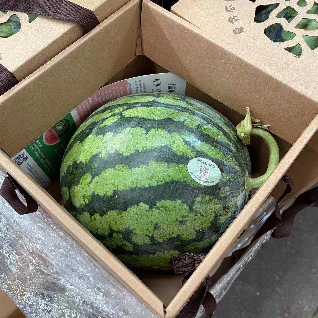 上海南汇二维8424西瓜原箱4个约28斤新鲜现摘西瓜