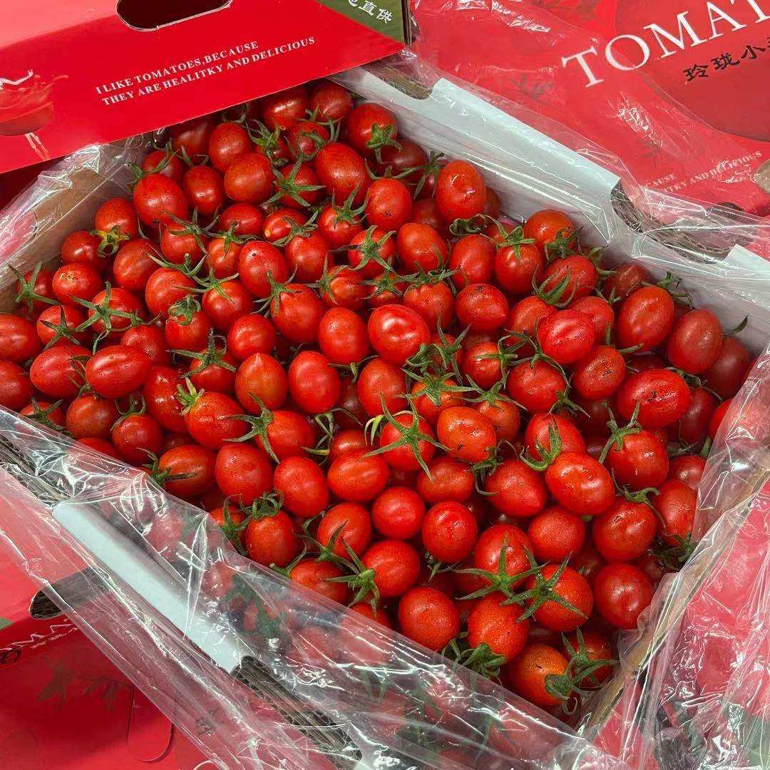 海南玲珑小番茄原箱3斤礼盒盒装甜脆新鲜千禧其它