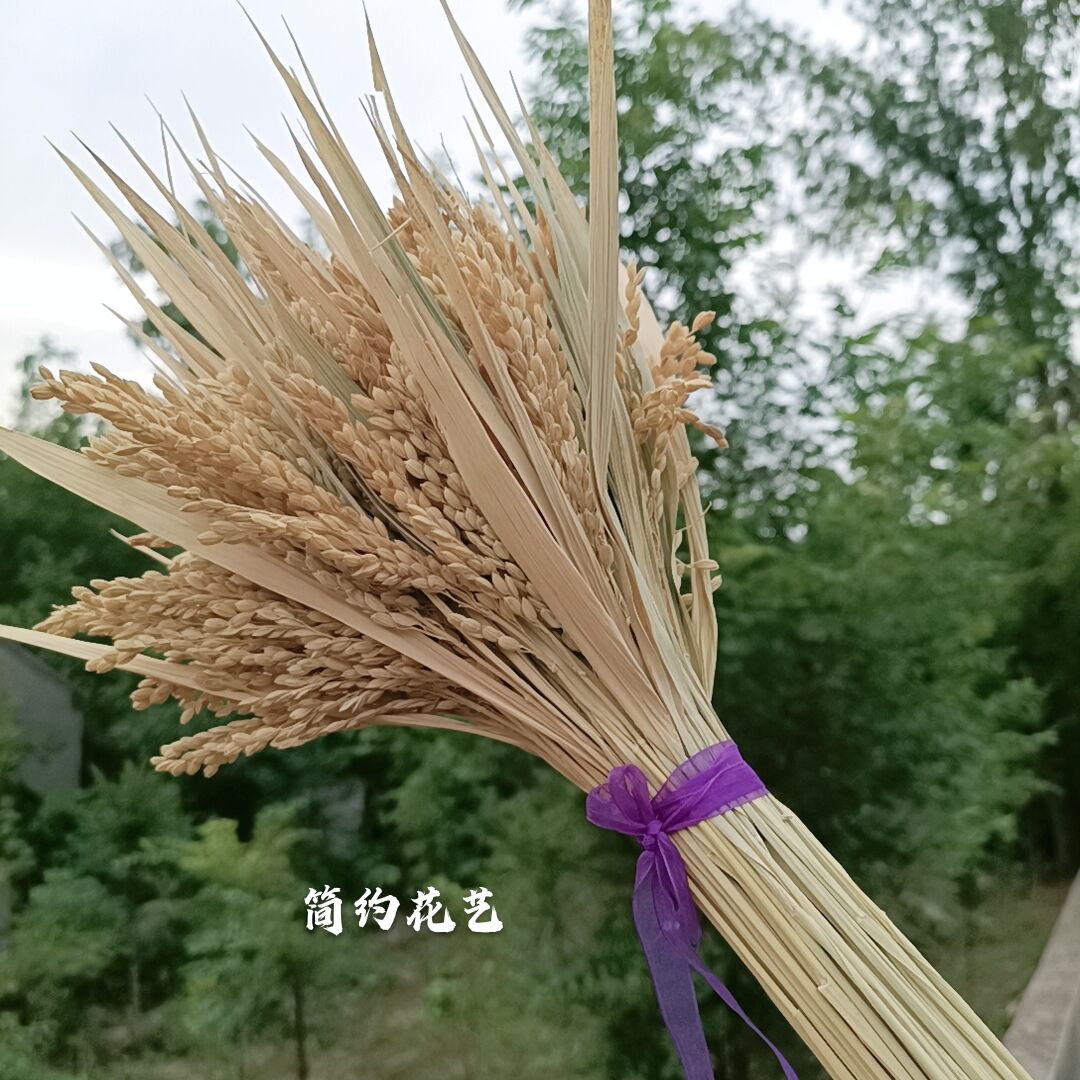 麦穗干花制作方法图片