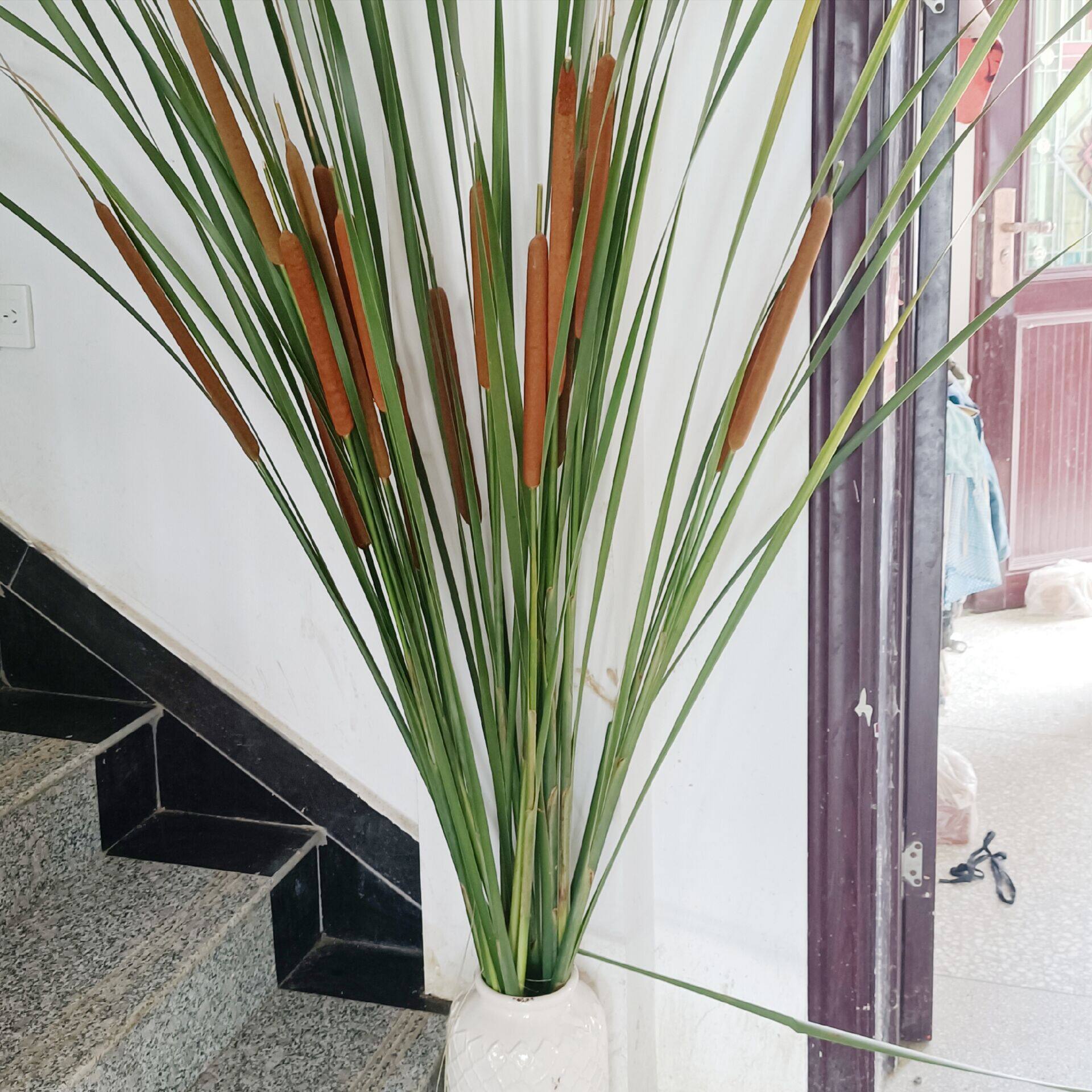 天然蒲棒蜡烛干花花束家居装饰插花材料艺术创意干花