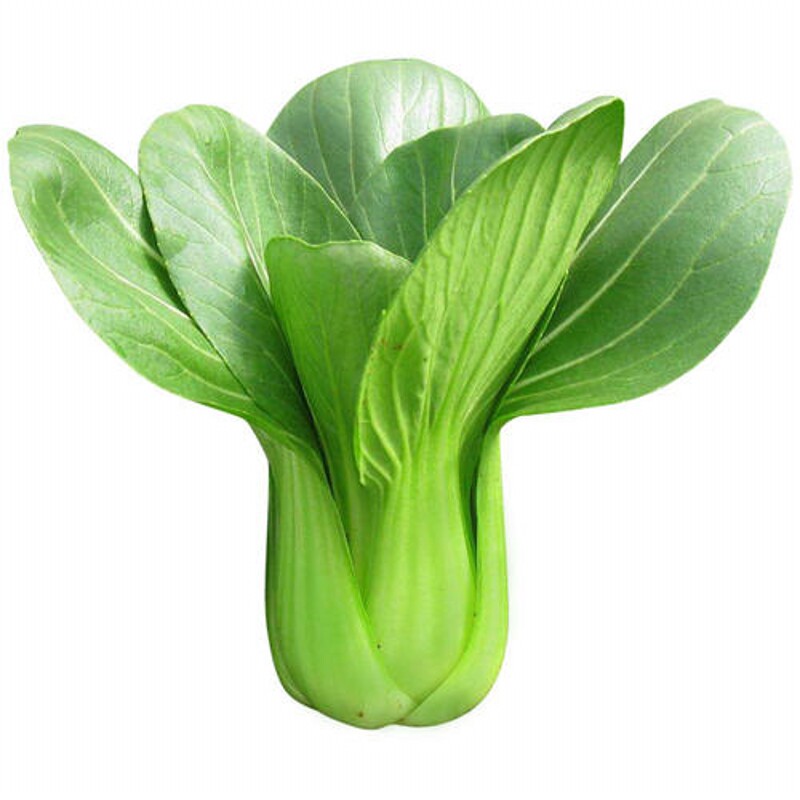 新鲜蔬菜上海青白菜4斤苏州青江菜青姜菜小棠菜油菜汤匙菜叶菜类_双氙