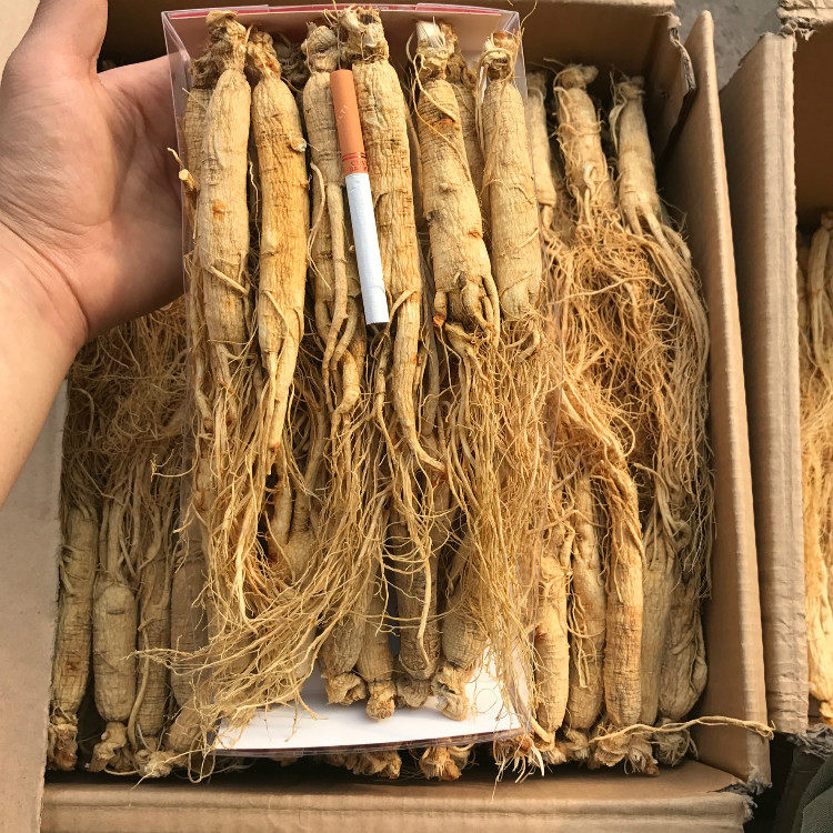 人参吉林长白山年生晒参硫磺白参原皮500g包邮人参