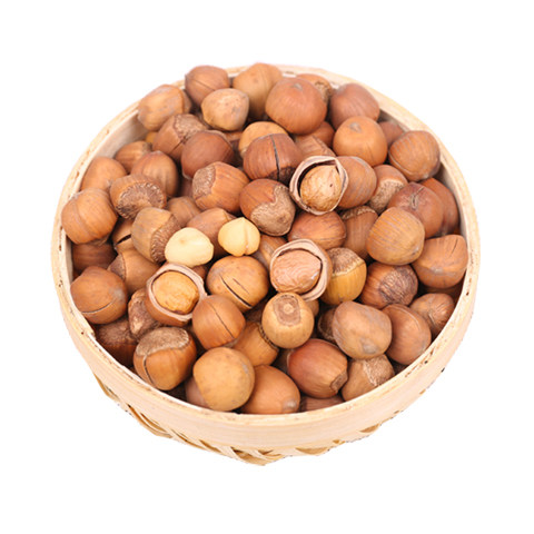 东北包邮500g坚果孕妇北平榛子新榛笨铁岭水漏榛子