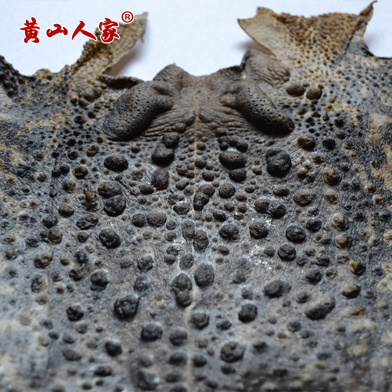 蟾皮活蟾蜍皮癞蛤蟆干蟾蜍皮蟾蜍衣蟾衣老蟾蜍粉蛤蟆富硒活体蟾蜍