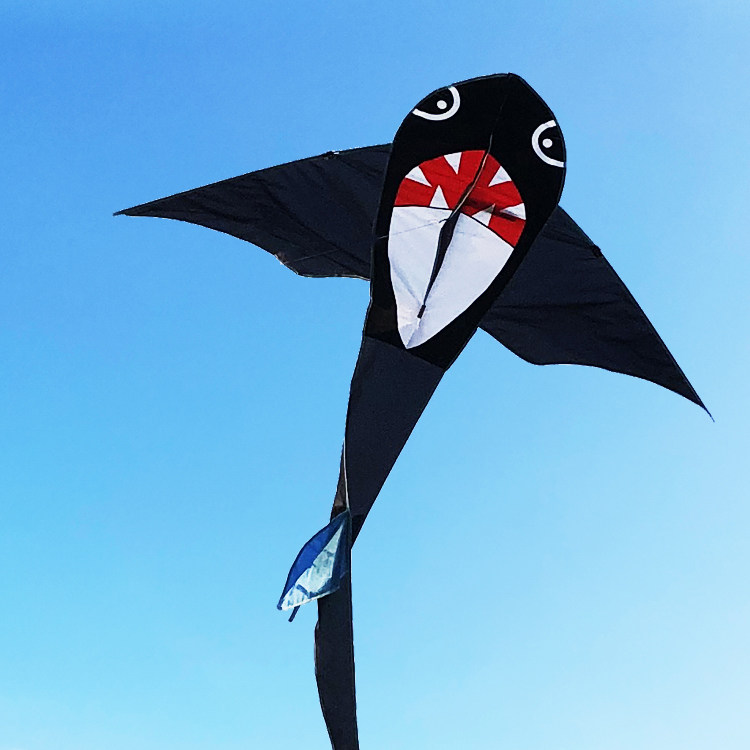 新款鲨鱼风筝儿童卡通动物潍坊小型长尾3岁风筝