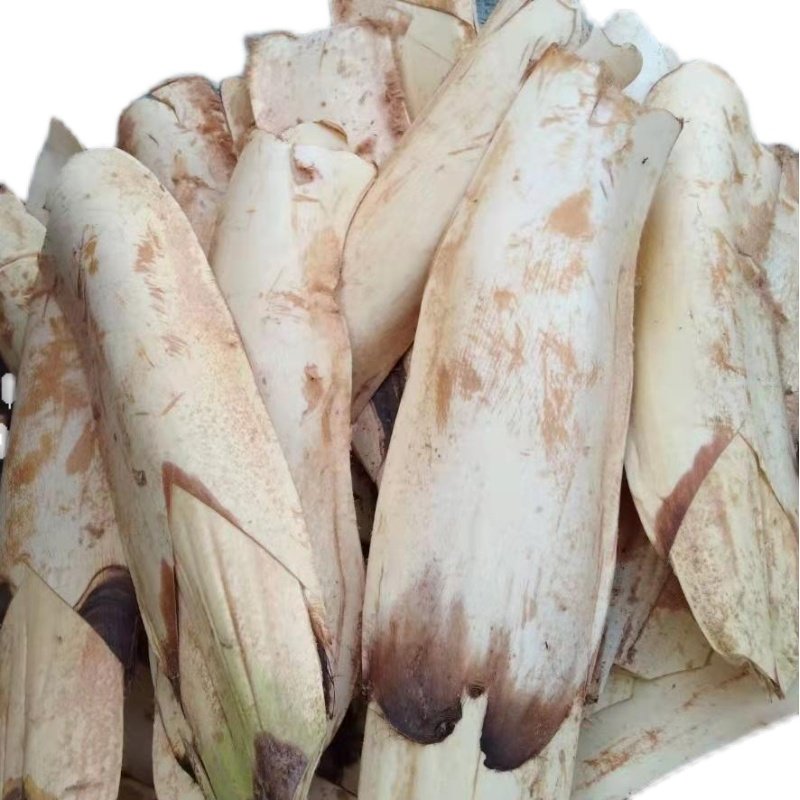 江西于都纯天然棕包棕苞花棕包米棕笋棕贝包棕芘其它