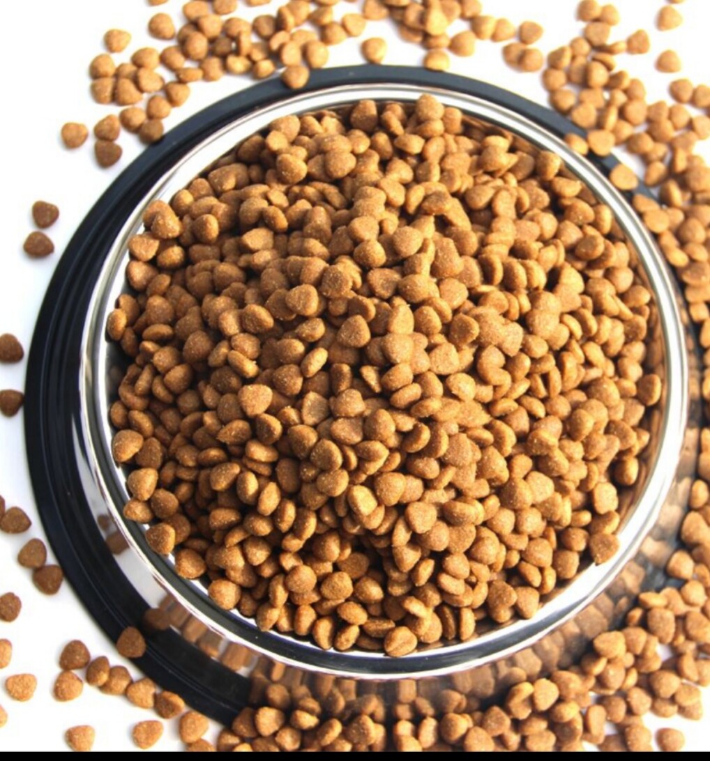 狗粮大包包装100斤便宜通用型40斤流浪土狗饲料狗全价膨化粮