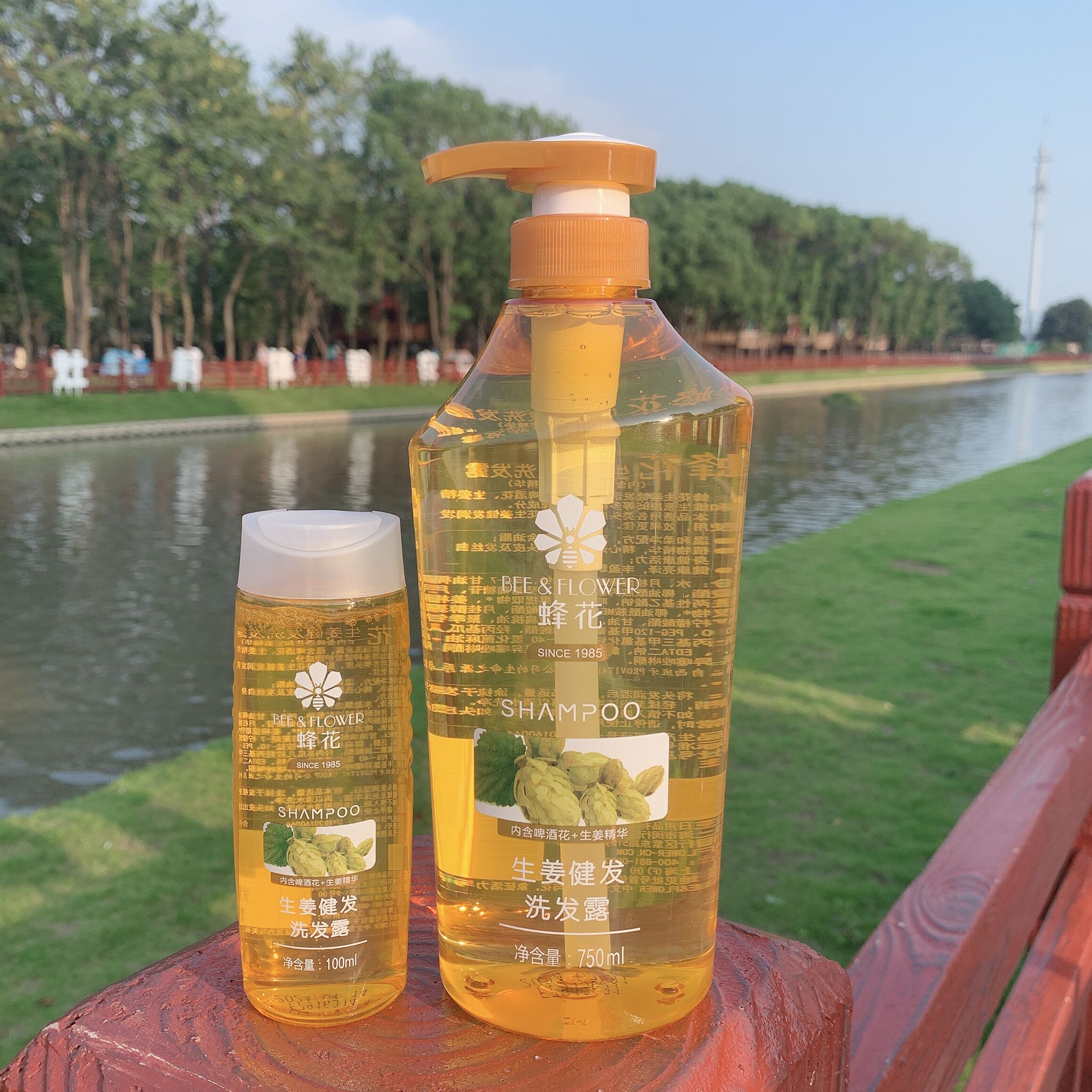 国货包邮蜂花硅油洗发水750ml生姜啤酒花控油洗发露洗发水