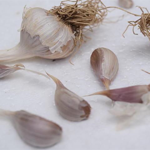 紫皮小蒜香蒜头5斤新鲜农家蔬菜新蒜多瓣红皮小蒜干蒜紫皮小苔蒜