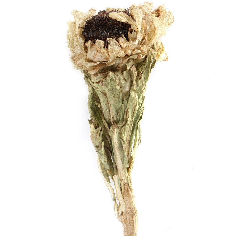 雪莲花新疆50克滋补店铺中药材正品天山冰山雪冰山传统滋补品其他