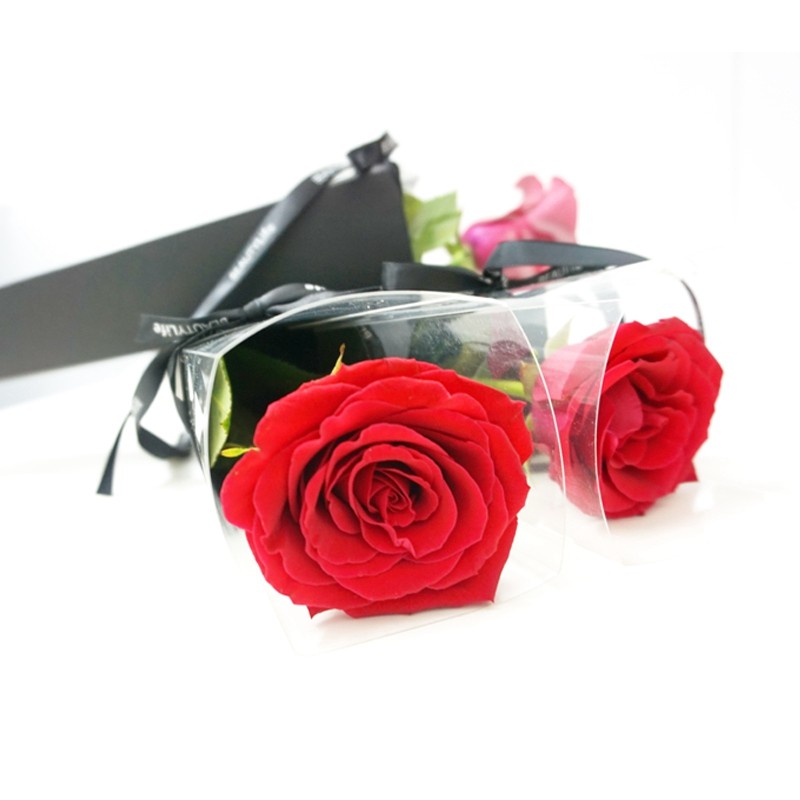 一朵单支玫瑰康乃馨湖南广州同城鲜花速递教师节网红花材