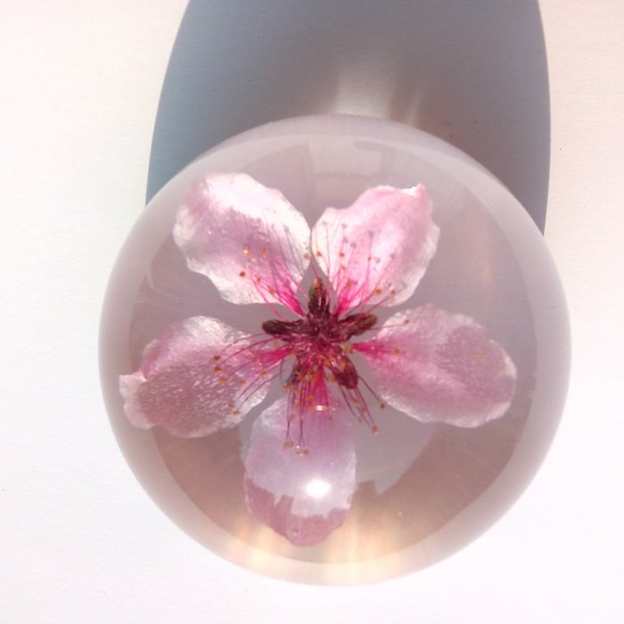 三生三世桃花永生花标本情人节创意浪漫生日礼物diy摆件