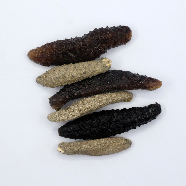 灰北极参 淡干加拿大进口野生干淡 小刺参 美国海参干货干活500克