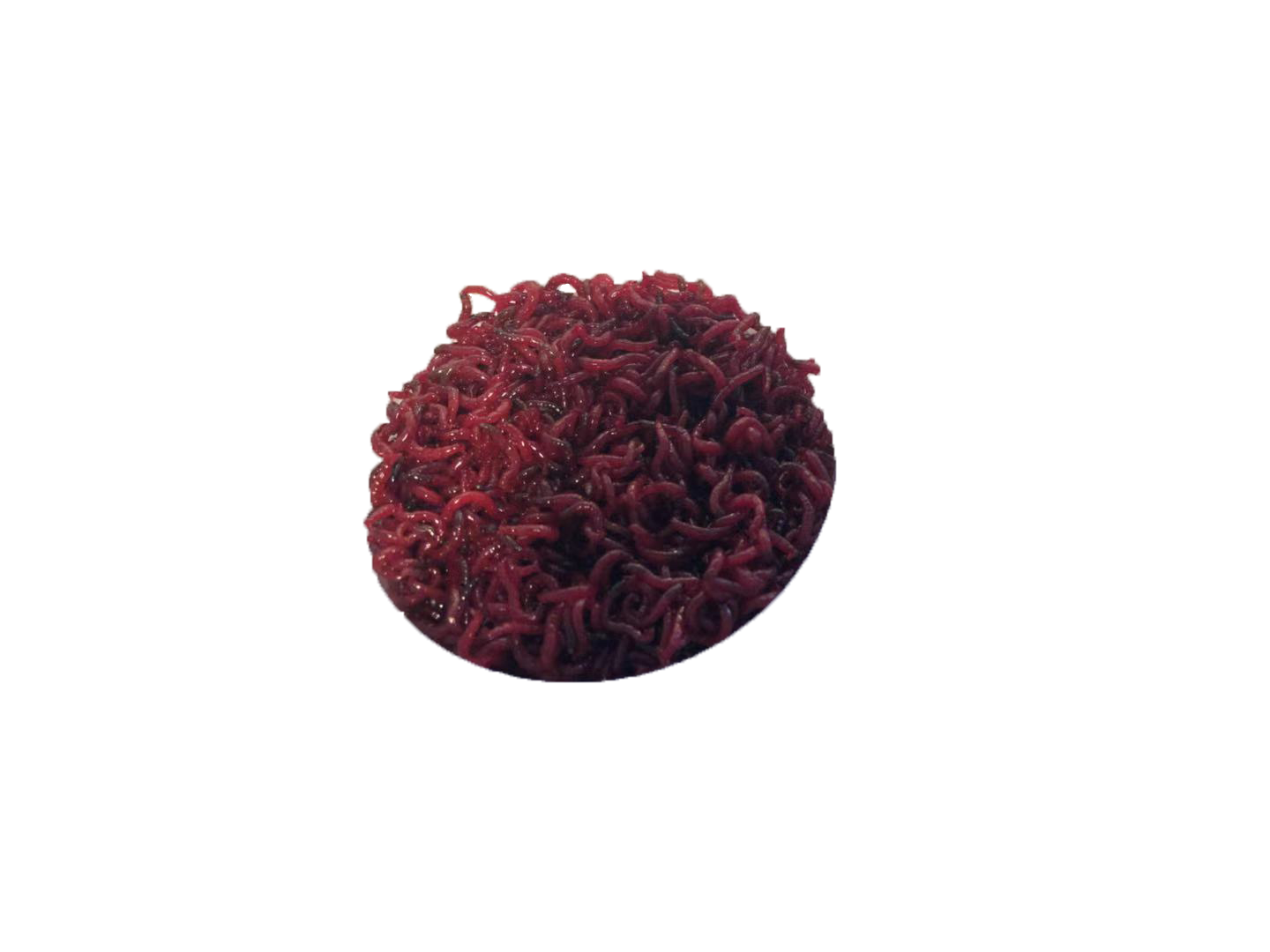 红虫活体乌龟金鱼锦鲤六角恐龙食鱼饲料血红观赏鱼饲料