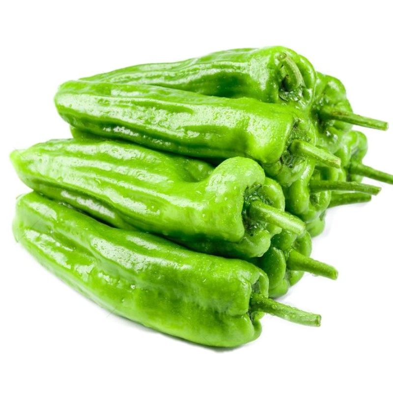 四季皱皮薄皮辣椒种子苏椒5号螺丝椒线椒杭家庭园艺种子