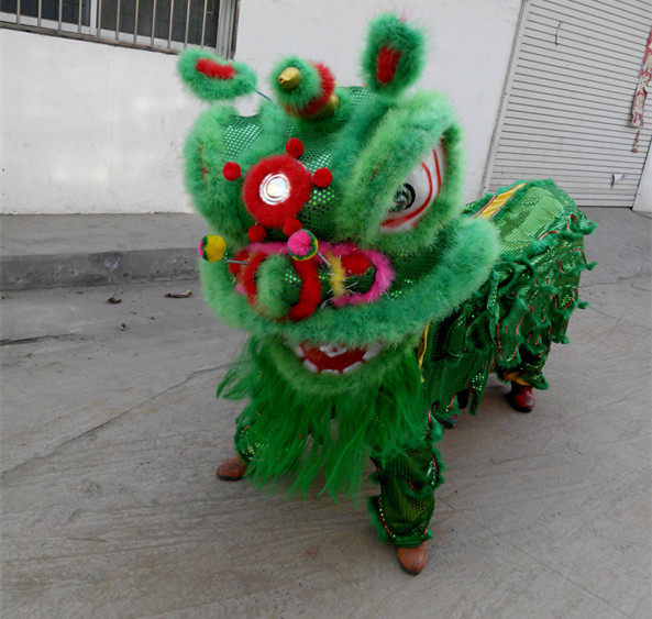 舞狮道具南狮舞龙舞狮道具舞狮人服装双人舞狮醒狮北狮狮头舞狮子