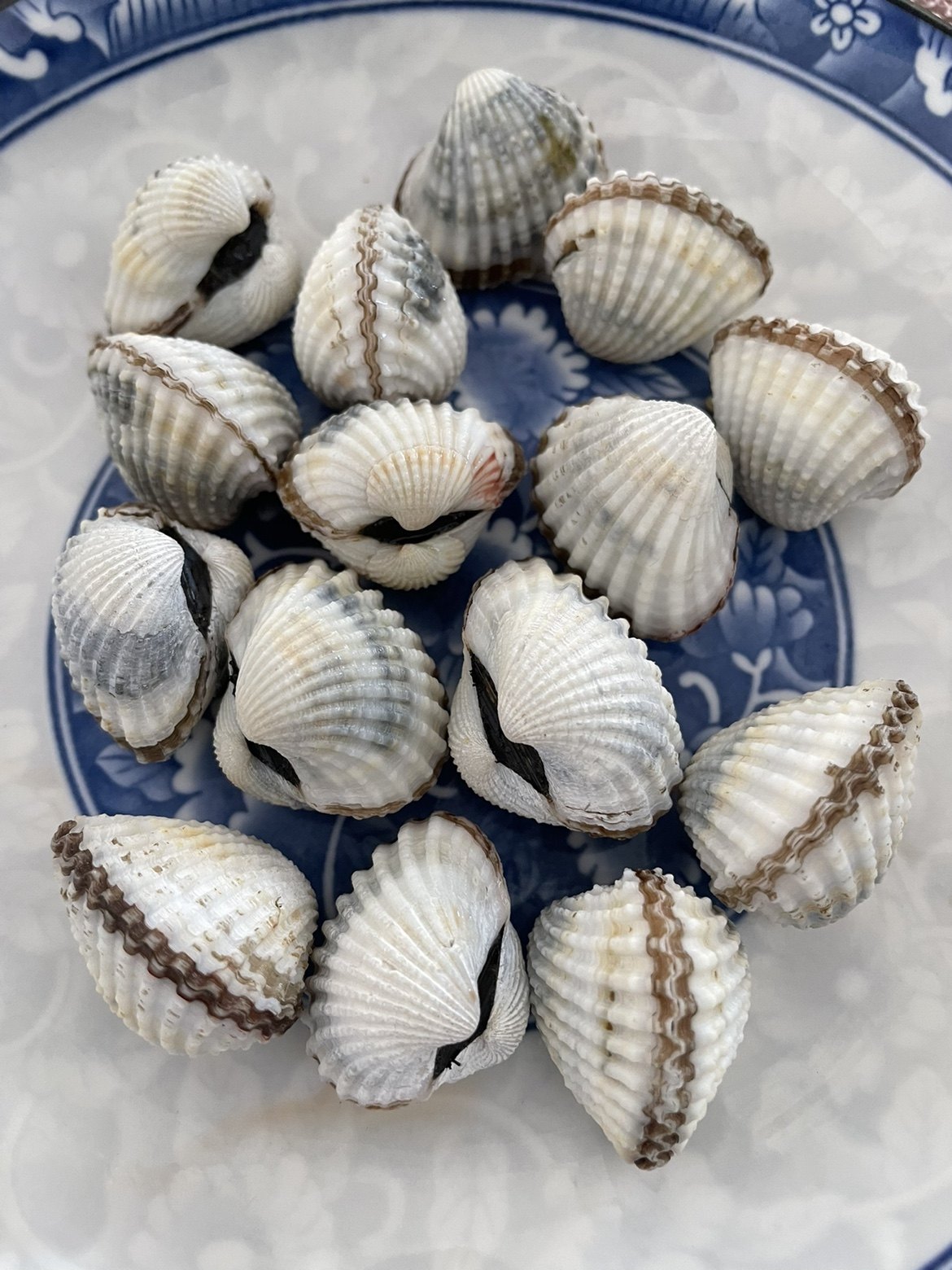 潮汕生腌海鲜血腌制血蛤网红特产酒料腌珠蚌毛贝类制品