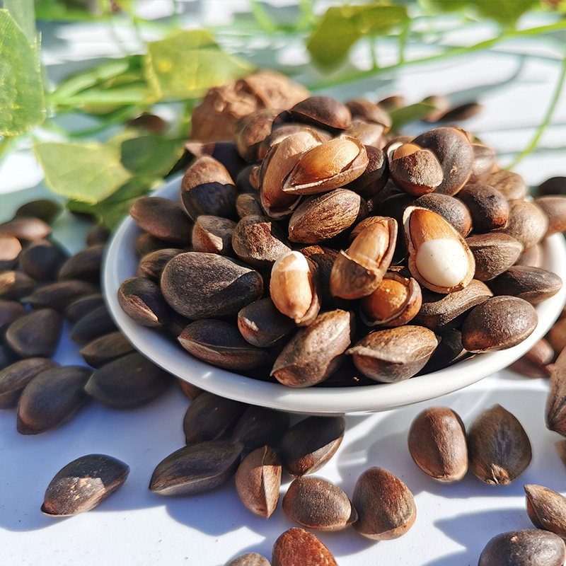 云南新鲜松子野生松果新货散装坚果颗粒每日松子