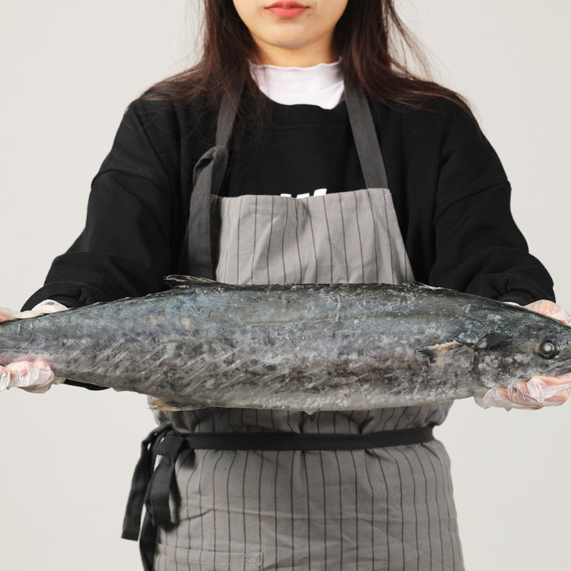 超大整条鲅鱼新鲜鲜活冷冻特大燕鲅鱼类深海马鲛鱼