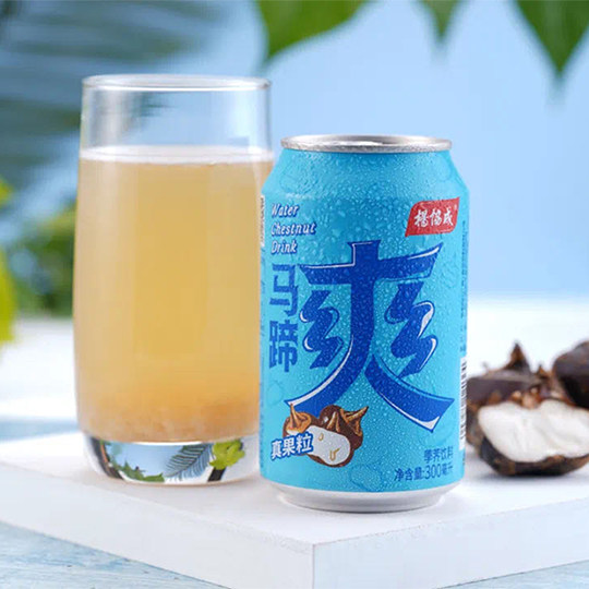 新加坡品牌杨协成马蹄爽果汁荸荠果肉300ml24罐清热下火饮料包邮