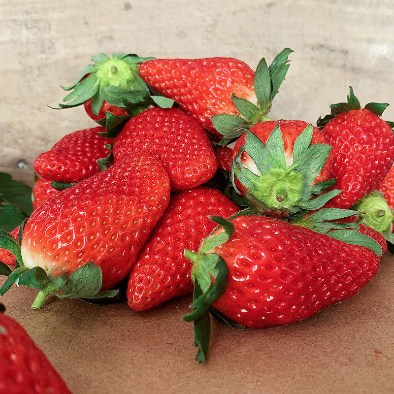 顺丰现货山东章姬套牛奶草莓礼盒包装奶油新鲜草莓