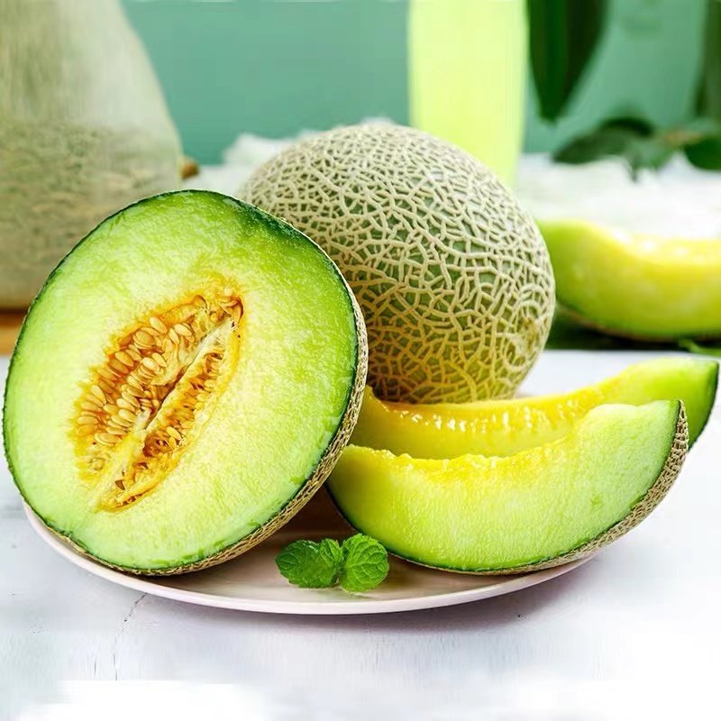海阳网纹新鲜玫珑蜜瓜玲珑哈密瓜静冈冰激凌甜瓜哈密瓜
