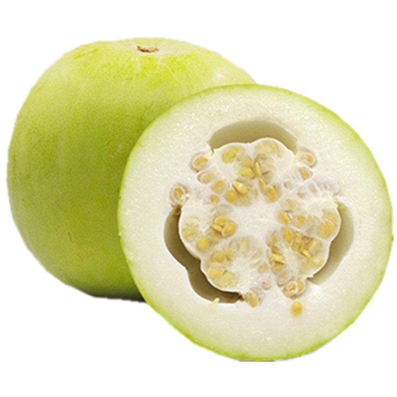 香芋小冬瓜种子芋头味白皮粉东瓜四季播水果圆冬瓜籽高产蔬菜种孑