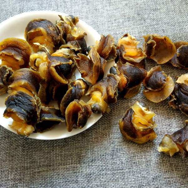 包邮热卖野生海螺500g大肚肚脐新鲜扁玉香螺贝类制品