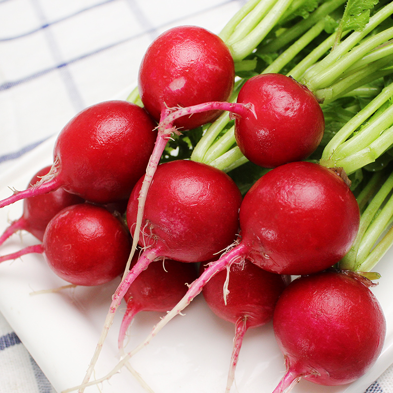 萝卜新鲜樱桃水果红色皮甜脆生生吃东北特产萝卜
