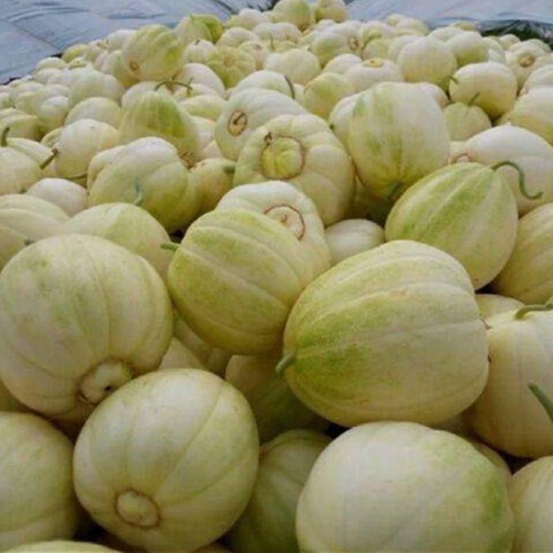 水果东北香瓜新鲜小甜瓜时令4斤应当当季整箱甜瓜