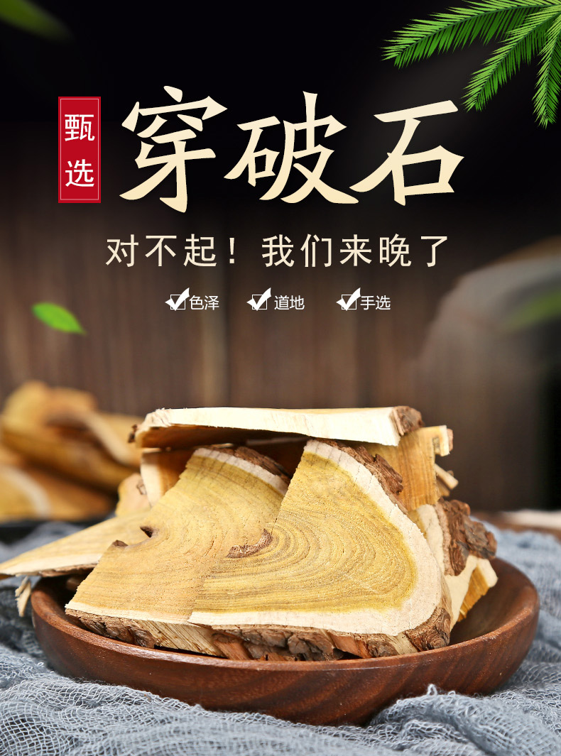 中药材野生穿破石500g克正品川破石根中草药新鲜散装另售柴胡