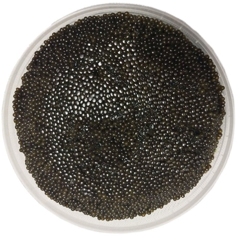 渔民自制黑龙江抚远鲟鳇鱼籽国产鲟鱼子鱼籽酱即食500克大盒包邮