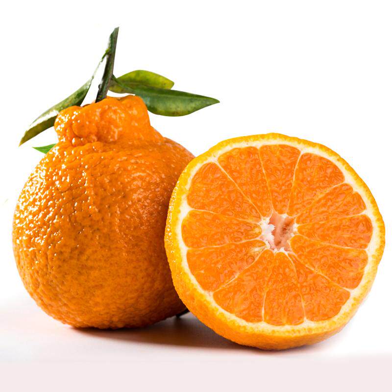四川不知火丑橘新鲜水果当季整箱10斤丑八怪丑哭桔子非粑粑耙耙柑