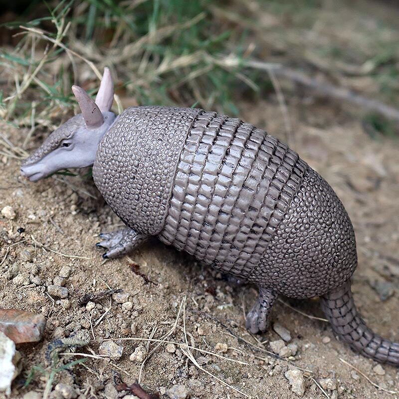 跨境儿童实心仿真动物世界犰狳铠鼠野生动物模型玩具塑胶摆件手办