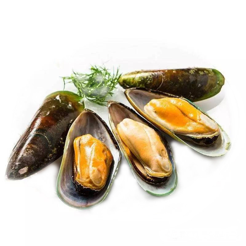 原装新西兰口贝1kg海虹原汁熟冻轻食刺身沙拉青口贝