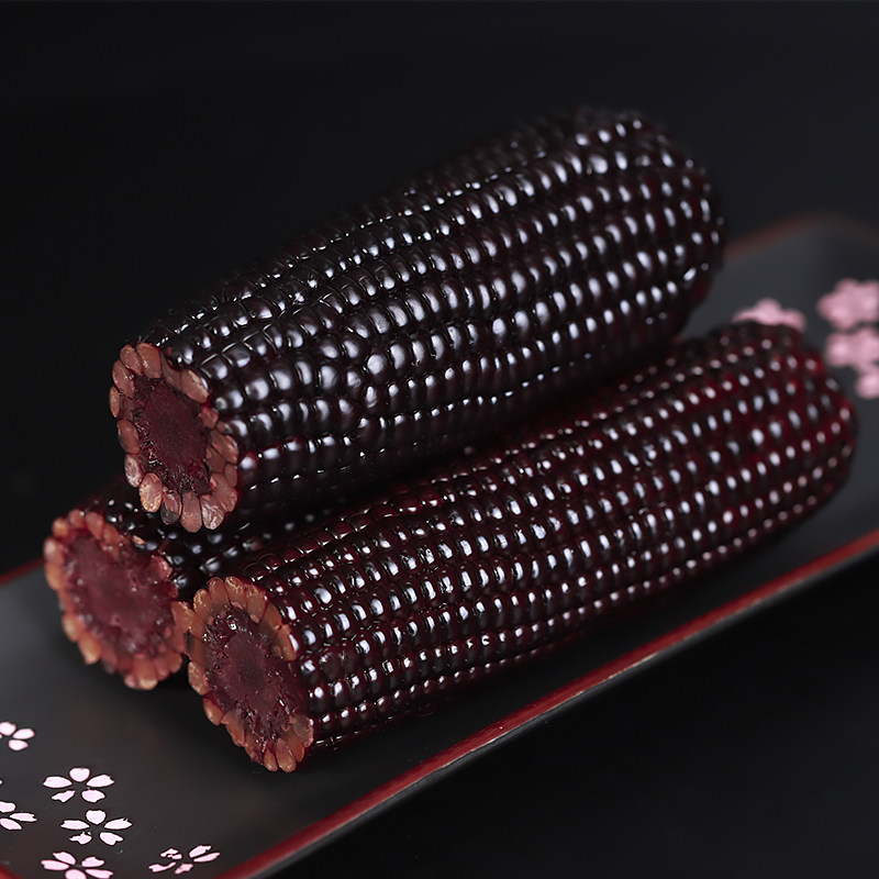 10根玉米新鲜玉米粒糯玉米黑玉米糯玉米棒甜 新鲜现摘真空包装黏