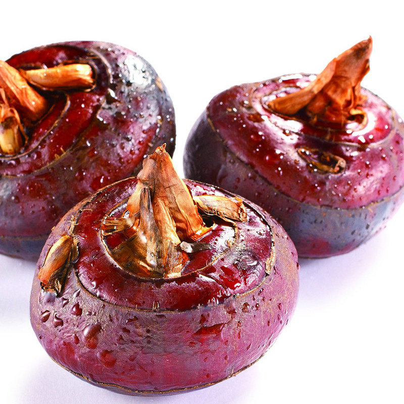 5斤大个新鲜马蹄荸荠挖地栗地农家水果蔬菜其它