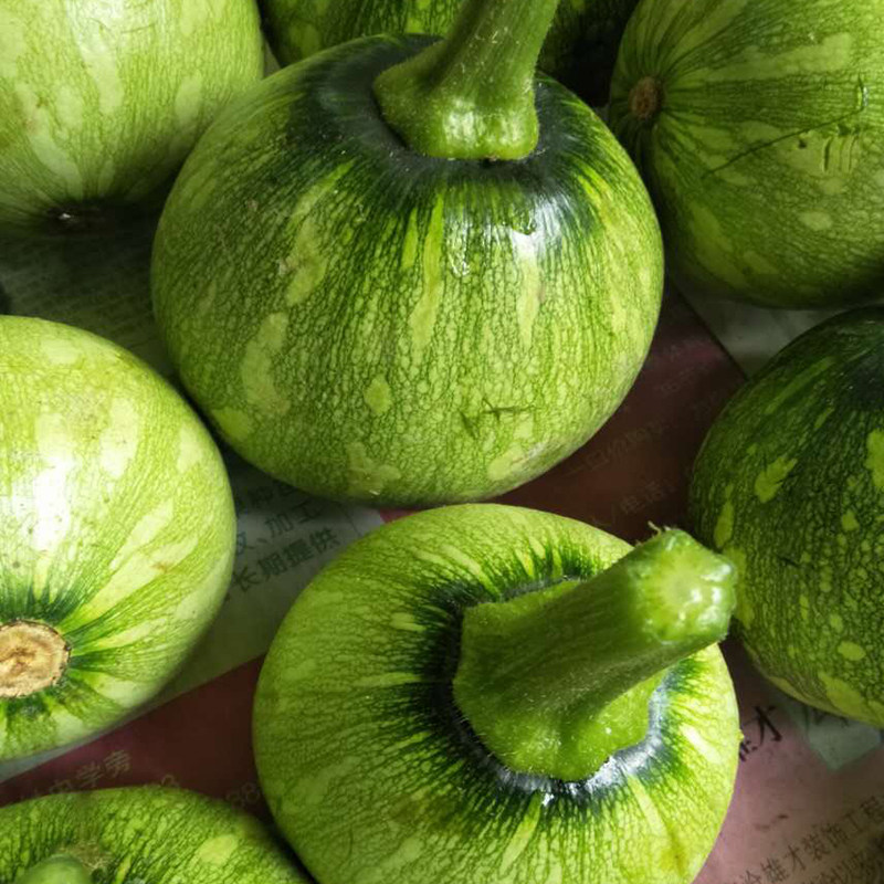 南瓜湖南新鲜自种绿皮迷你小南瓜小青5斤装包南瓜