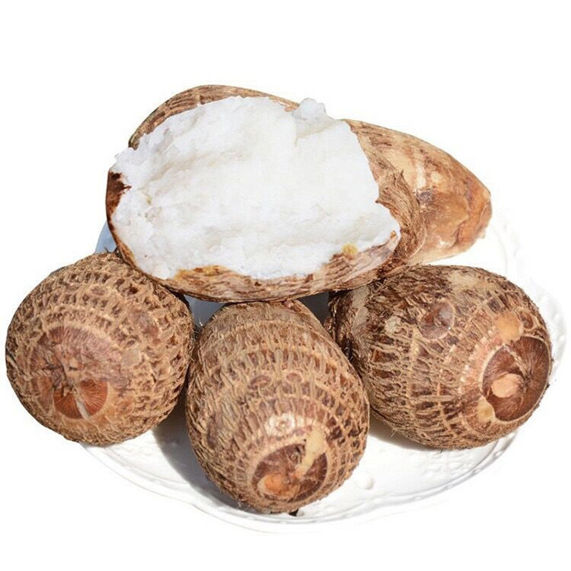 芋头新鲜毛芋头蔬菜香芋农家种植山东小芋头其它