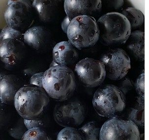 新鲜葡萄云南黑葡萄水果提子巨峰净重5斤装葡萄