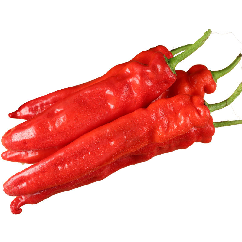 新鲜现摘辣椒红辣椒农家自种时令蔬菜带箱5斤辣椒