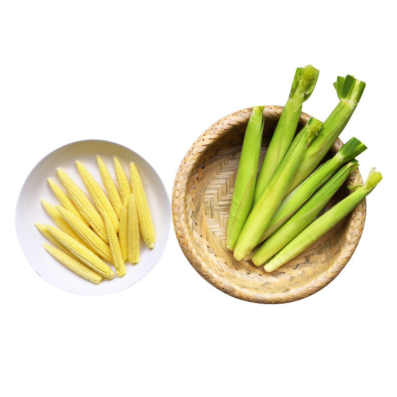 玉米新鲜笋带箱5斤水果小玉米笋心蔬菜沙拉须包新鲜玉米